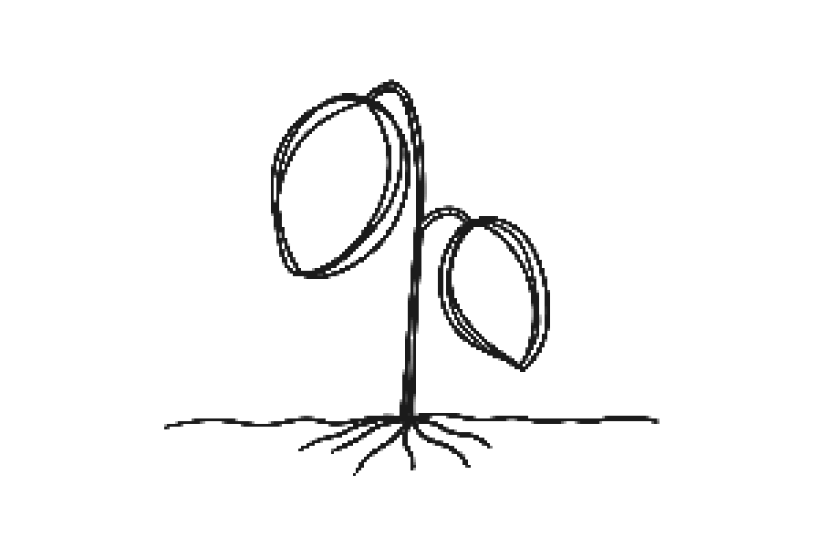 A wobbly ground line with a crooked plant pushing through